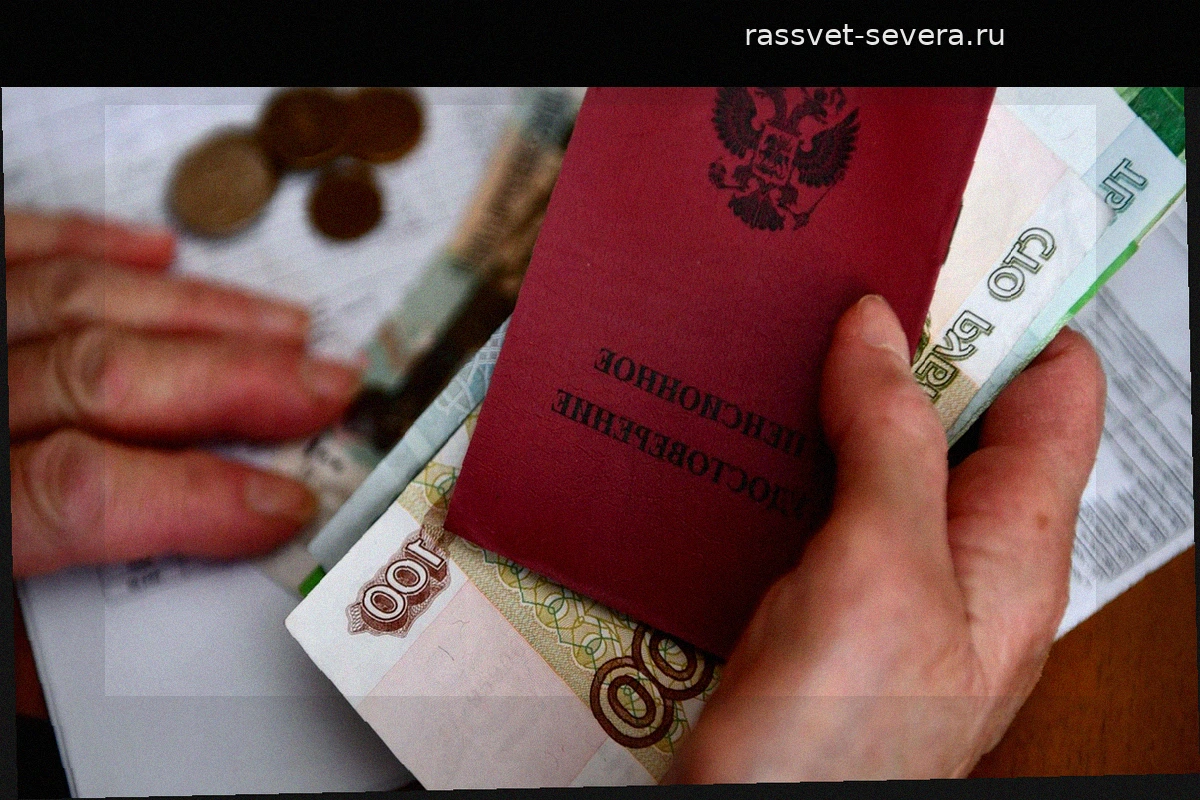 В Социальном фонде сообщили о трехкратном росте пенсий в новых регионах