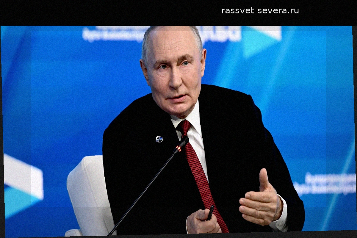Инструкция по работе с профилем и поддержкой