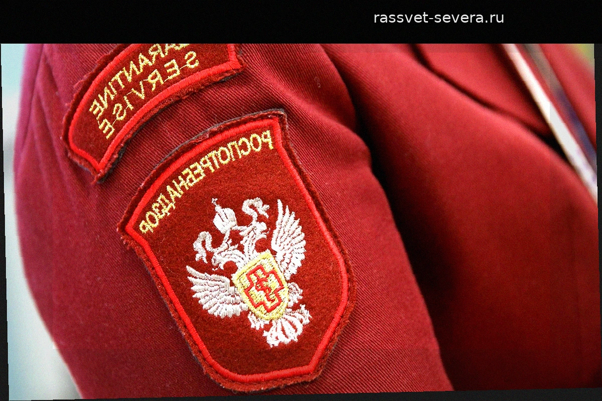 Роспотребнадзор подвел итоги всероссийской горячей линии по энтеровирусу