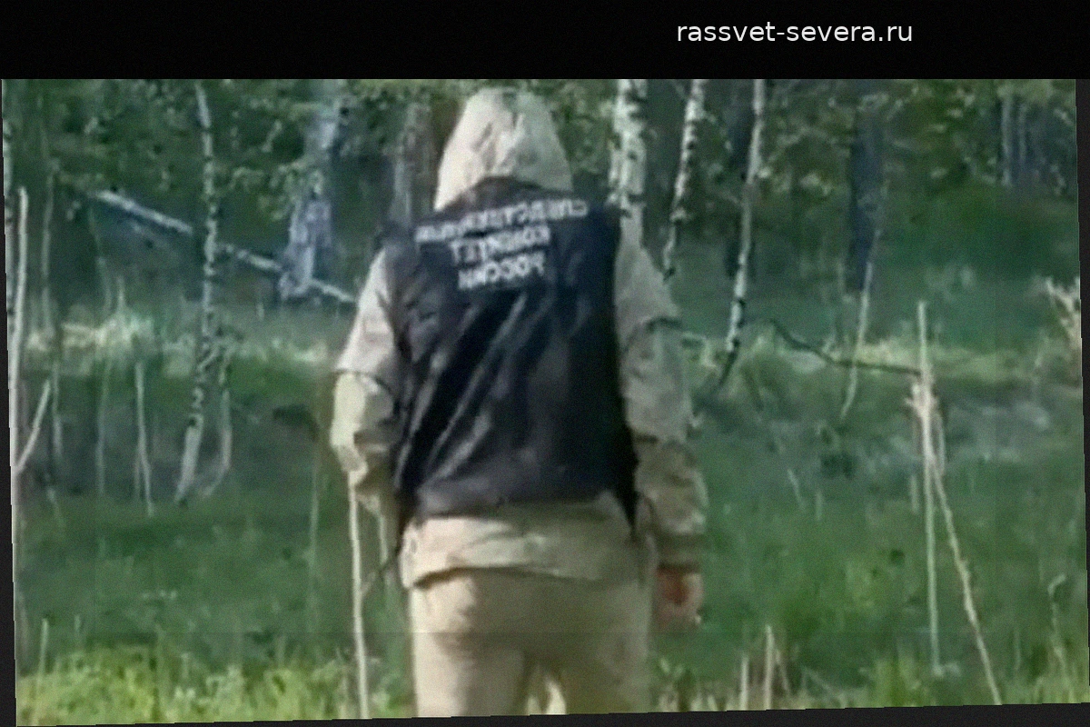На месте исчезновения семьи Усольцевых обнаружена палка для скандинавской ходьбы