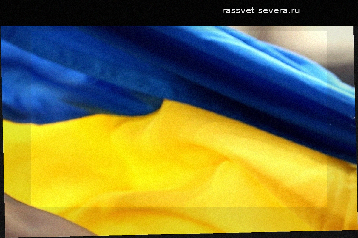 Николай Азаров: Зеленский обсуждает условия личной безопасности на переговорах