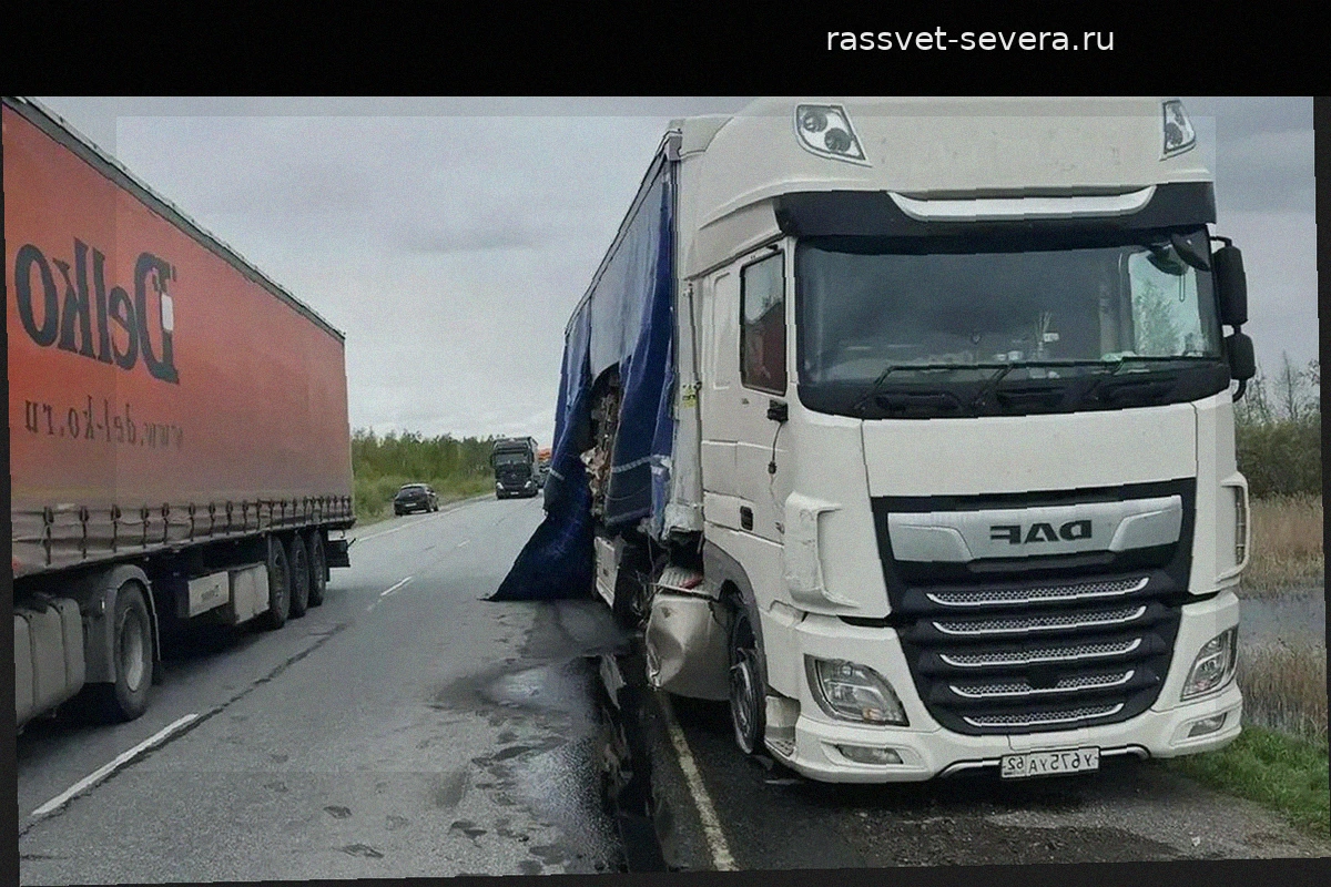 Госавтоинспекция установила обстоятельства аварии со школьным автобусом в Омской области