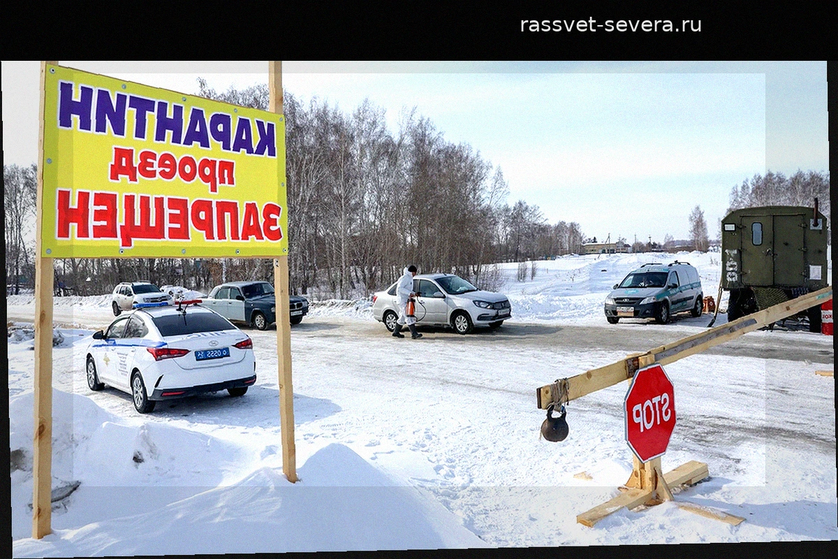 Вспышку бешенства в Сибири объяснили халатностью владельцев хозяйств