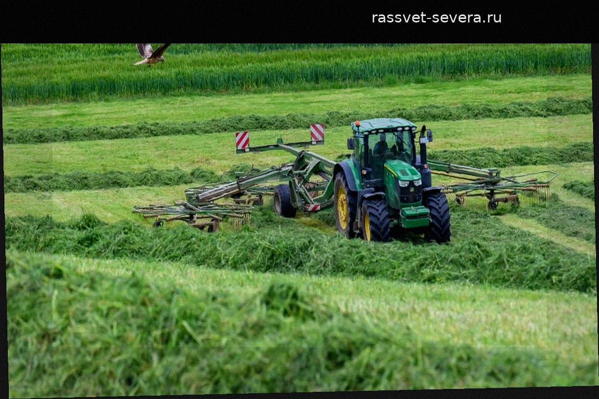 Lebensmittel: Landwirte durch Preisverfall und Kostenanstieg unter Druck