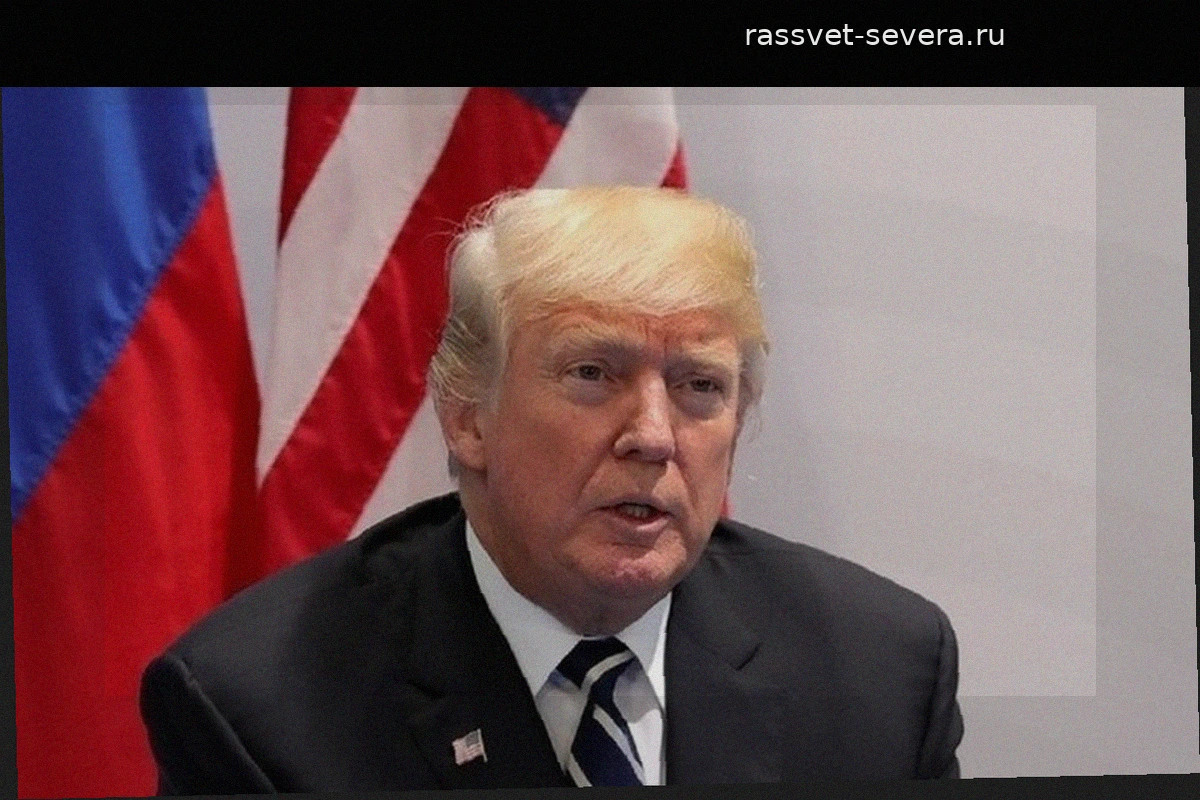 Возобновлено судебное разбирательство по иску Дональда Трампа против Налоговой службы США