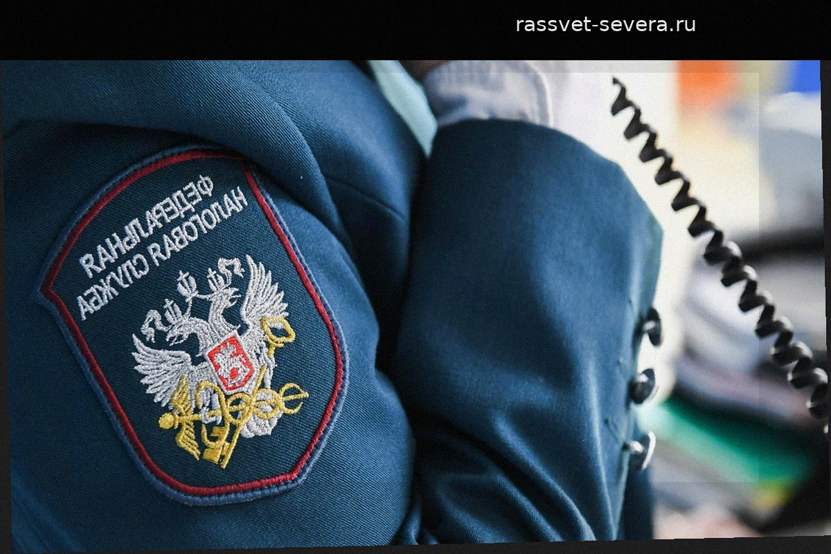 Высококвалифицированные иностранные кадры принесли российскому бюджету 81 миллиард рублей налогов