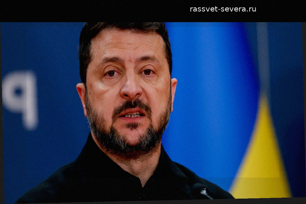 Ральф Нимайер сравнил действия Зеленского с поведением Гитлера в апреле 1945 года