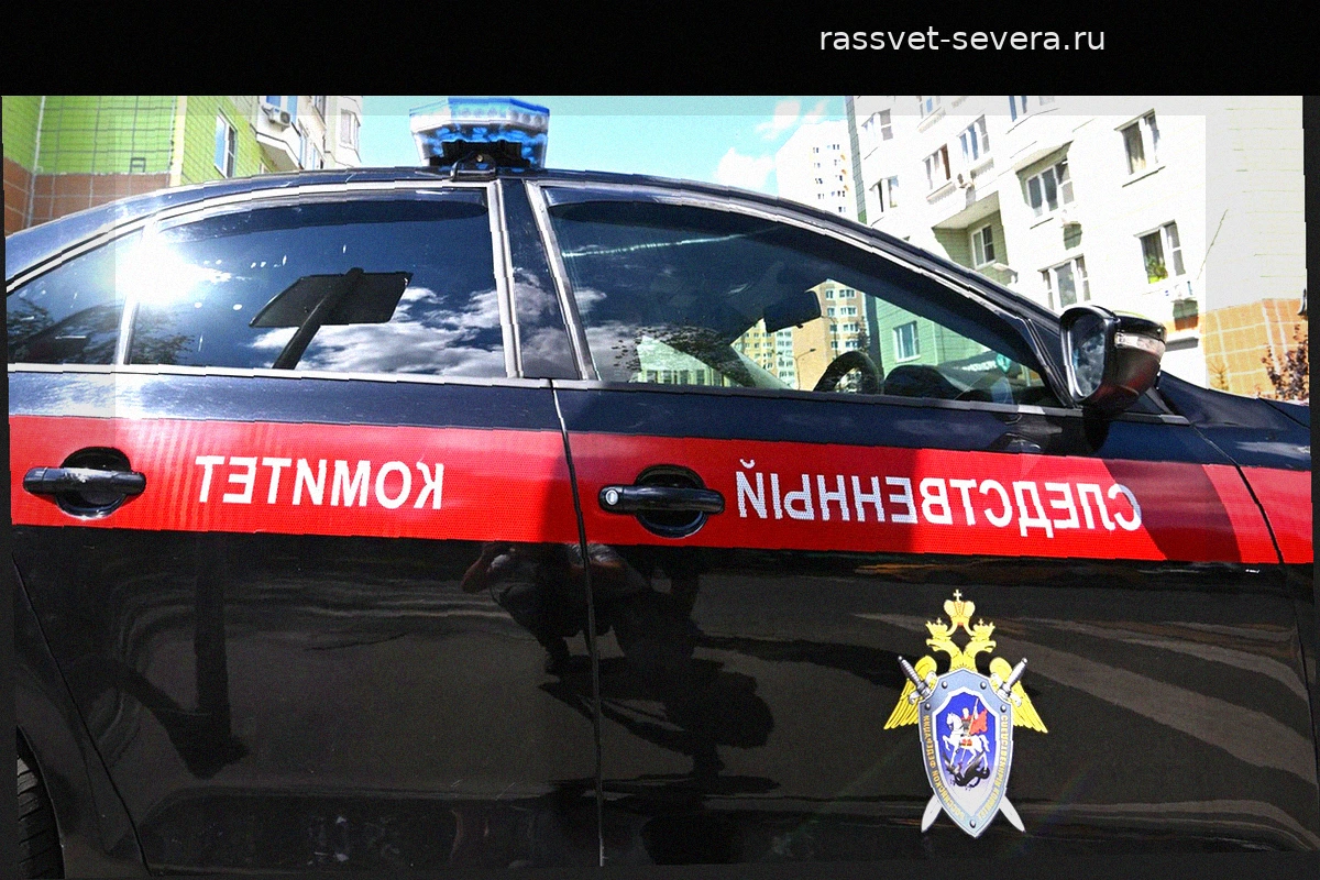 Житель Ульяновска убил мать и ее сожителя через месяц после выхода из колонии