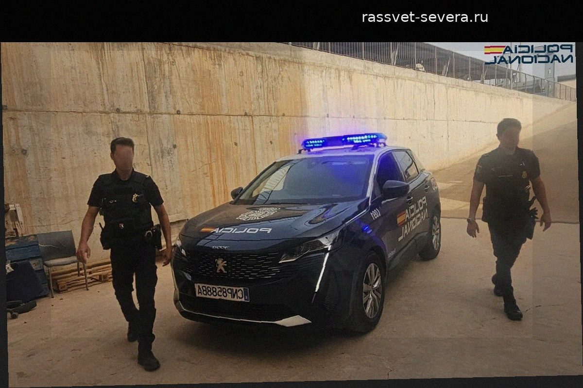 В Пальме мужчина из ревности нанес тяжелые травмы посетителю клуба, ударив его стеклянным бокалом