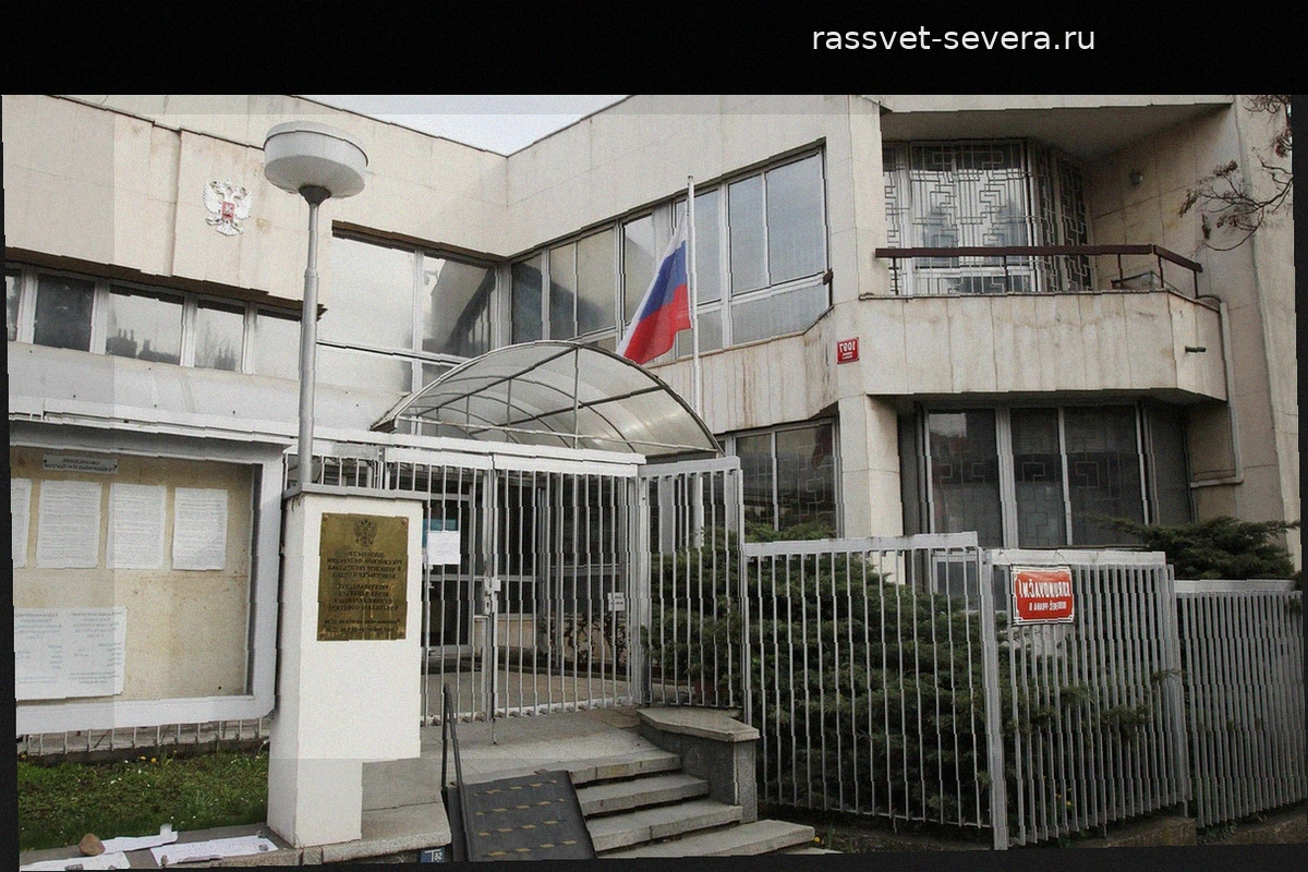 Популярность мероприятий в Русском доме в Праге