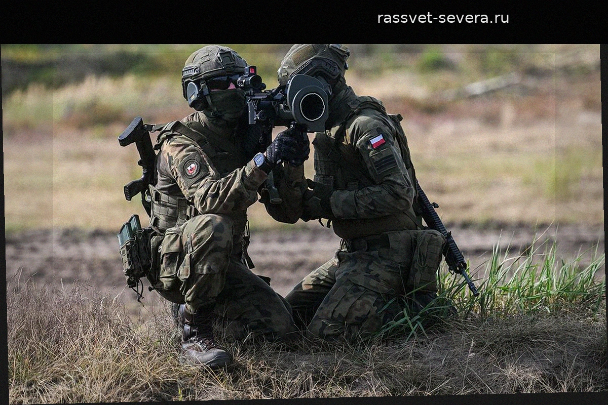 Минобороны Польши не исключает возвращение обязательной военной службы
