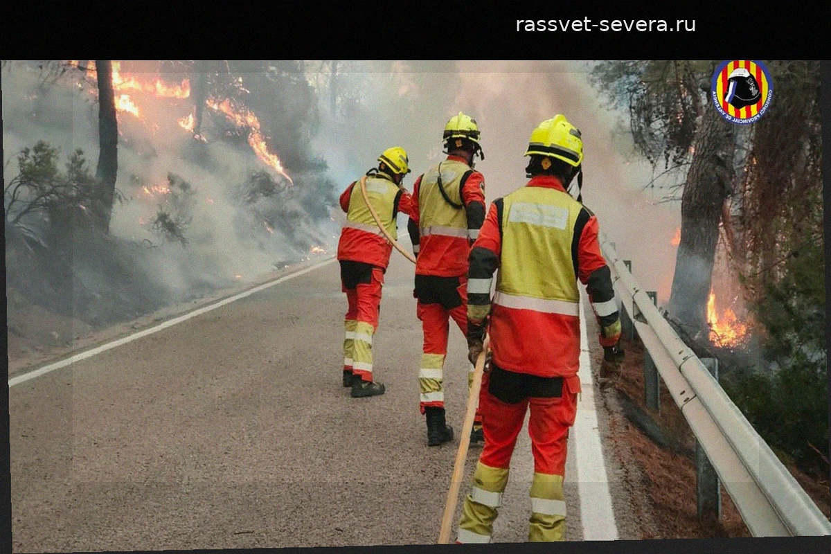 Человеческий фактор стал причиной пожара в Туэхаре: выжжено 835 гектаров