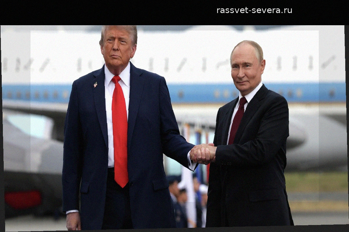Обсуждение диалога Путина и Трампа вызвало резонанс в Германии