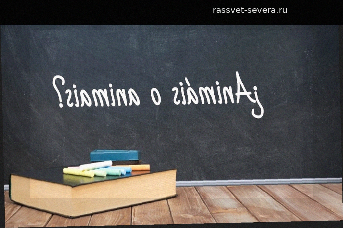 Как правильно писать: animáis или animais