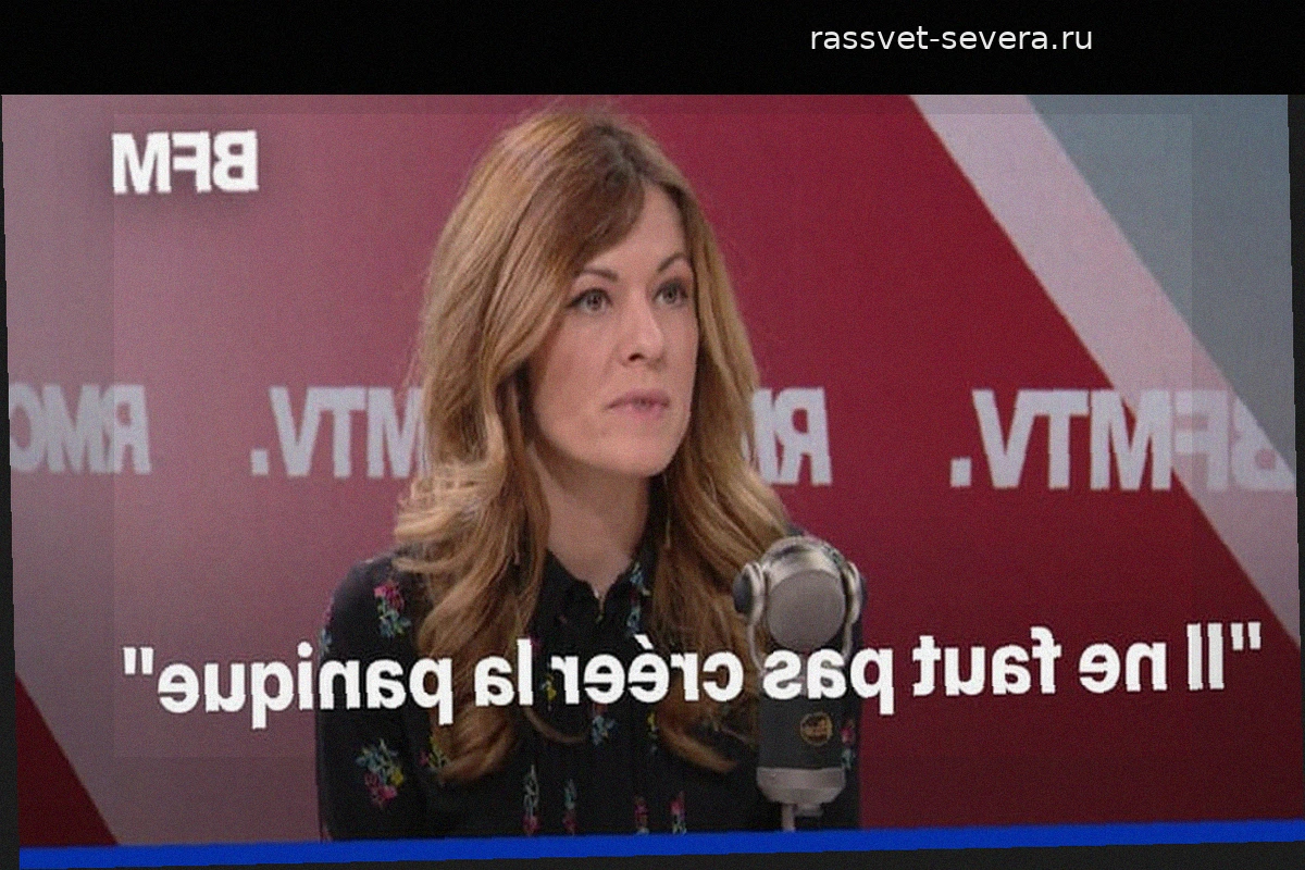 Хантавирус: представитель правительства подтвердила случай заражения во Франции
