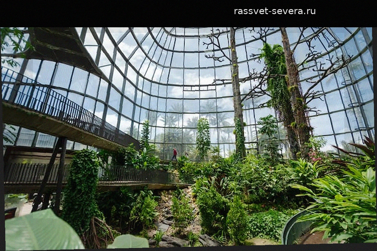 Фестиваль Estéreo Botánico в Ботаническом саду Боготы: программа и ключевые события