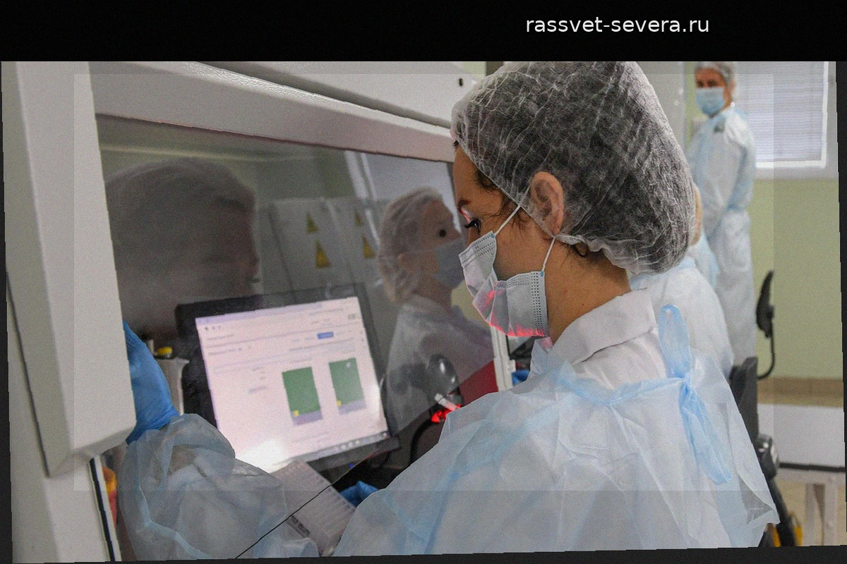 В России создали тест-систему на базе CRISPR/Cas для выявления устойчивости к антибиотикам