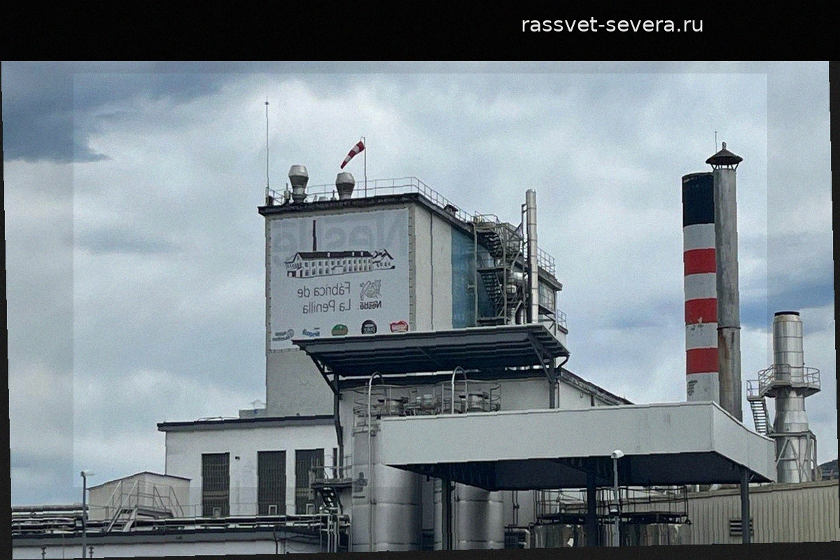 Nestlé в Испании: протесты продолжаются в новом формате ради сокращения списка увольняемых