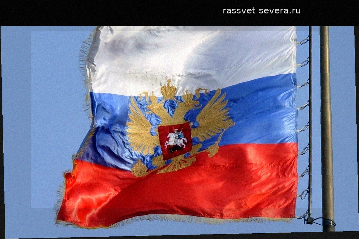 Российские войска ликвидировали пункт управления дронами ВСУ на Добропольском направлении