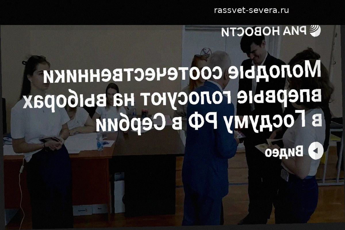 Молодые граждане России в Сербии впервые голосуют на выборах в Госдуму