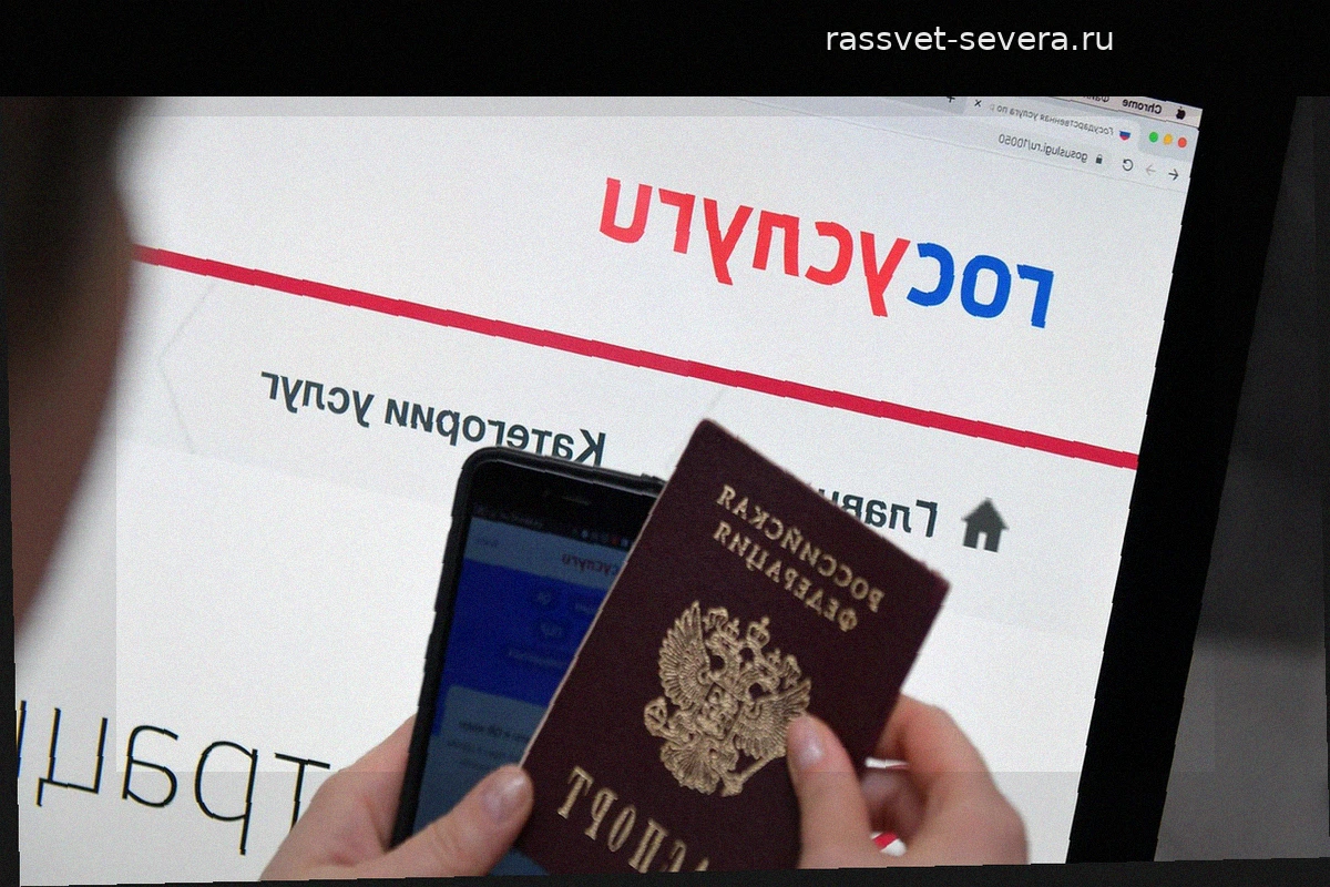 Рекрутинговые сервисы смогут проверять опыт работы через Госуслуги