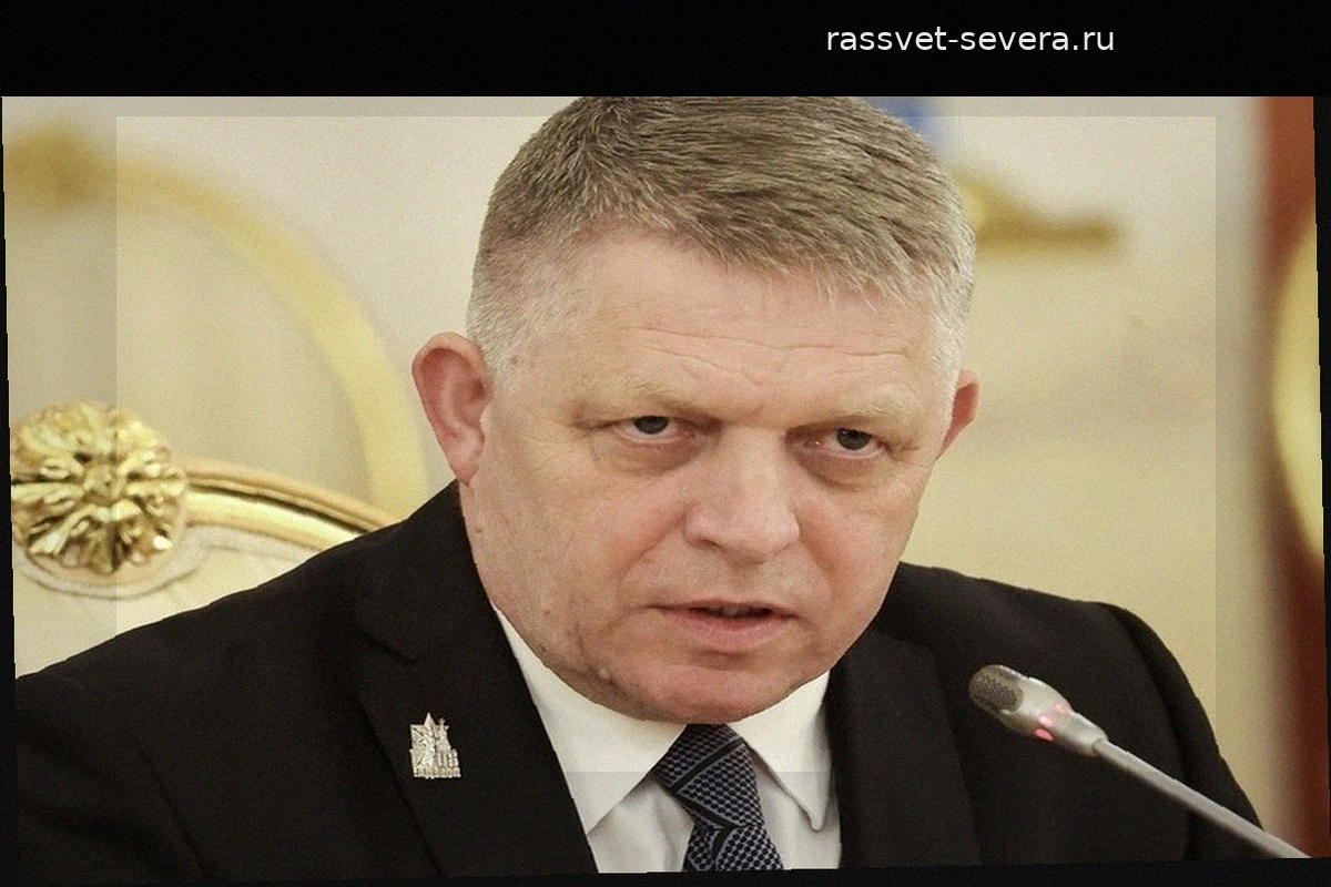 Роберт Фицо обвинил западных политиков в стремлении к войне между НАТО и Россией