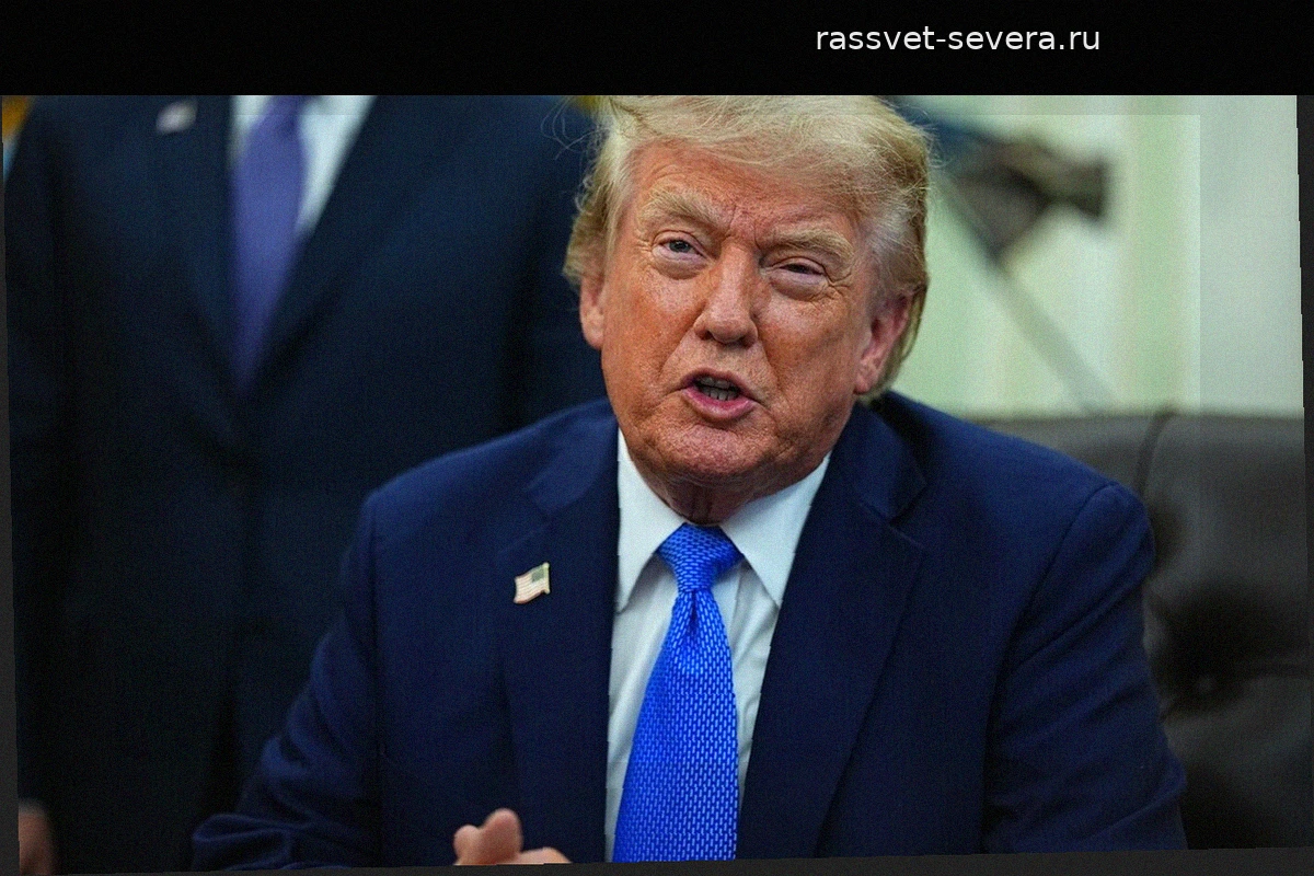 Дональд Трамп отметил положительную динамику в мирном процессе по Украине