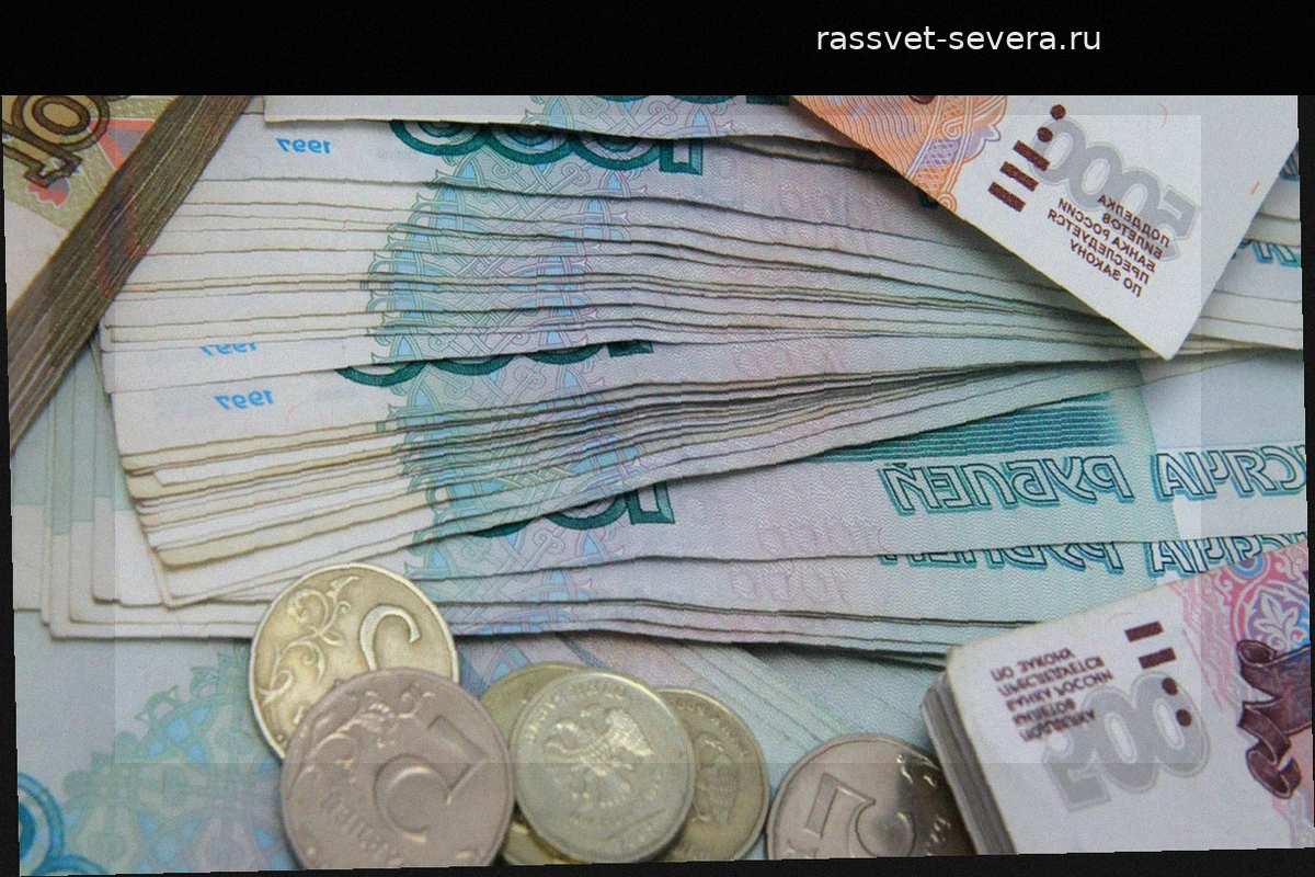 Выплаты Соцфонда в новых регионах превысили 6 млрд рублей