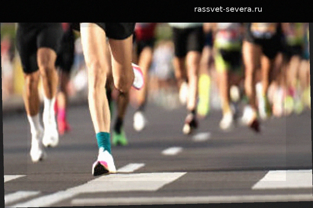 Мадридский марафон 2026: полное руководство по главному забегу испанской столицы