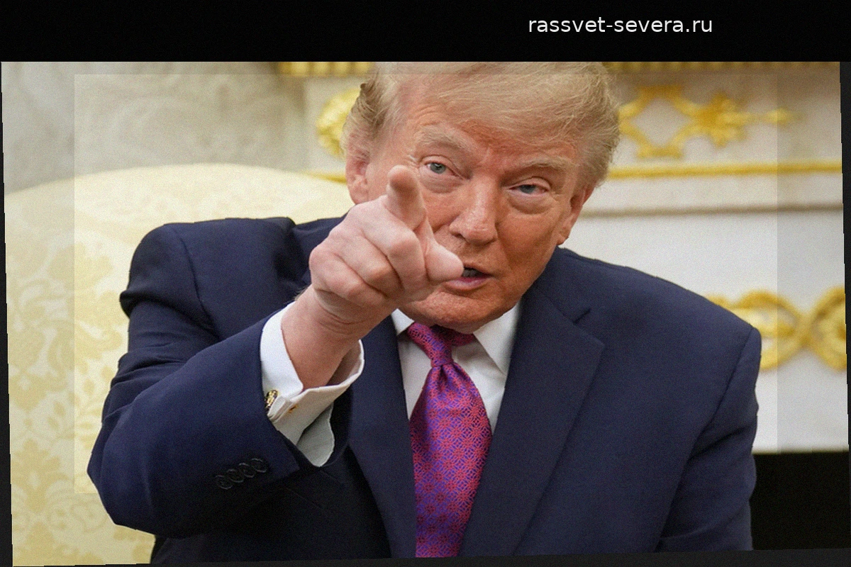 Конгрессмены США обвинили администрацию Трампа в попытке сорвать выборы в Бразилии