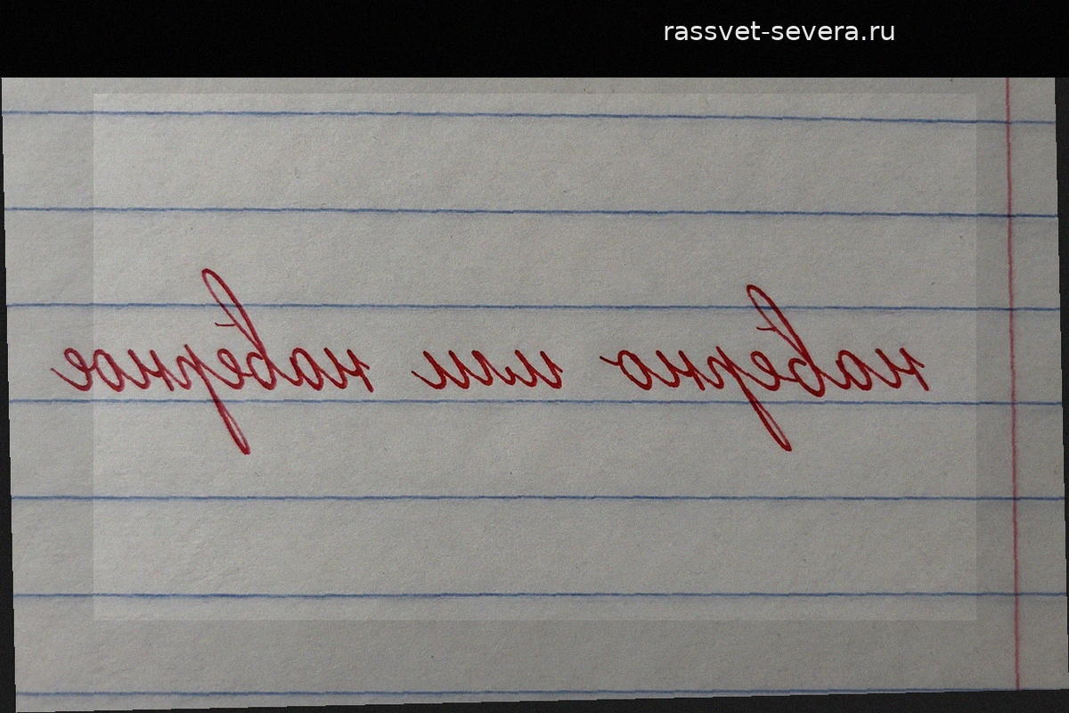 Наверно или наверное: правила и отличия