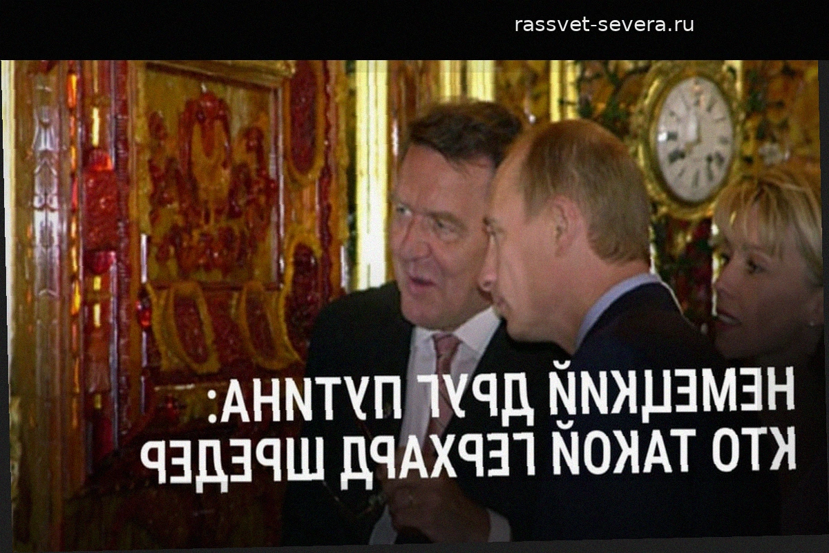 Путин допустил участие Герхарда Шредера в переговорах по Украине в качестве посредника