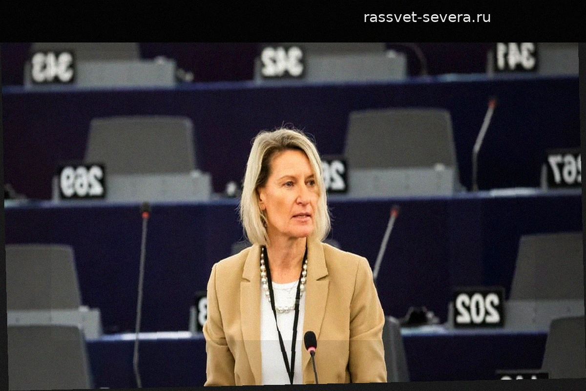 Европарламент отказал в проведении расследования в отношении Ангелики Ниблер