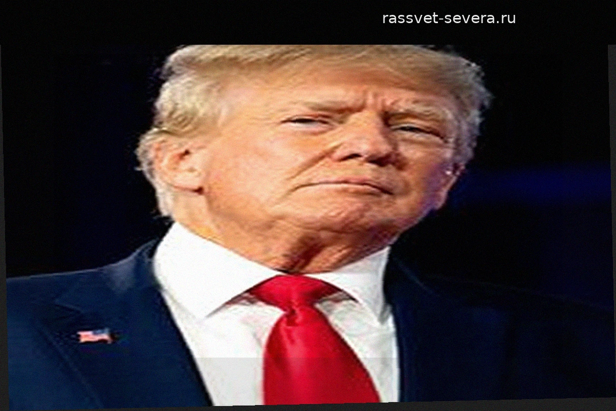 Дональд Трамп-младший прибыл в Таллин