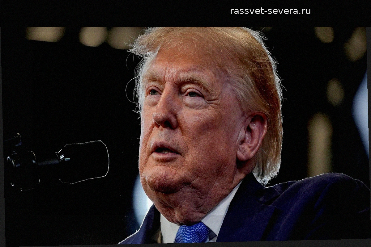 Трамп заявил, что демократы хотят видеть книги Ленина в библиотеках США