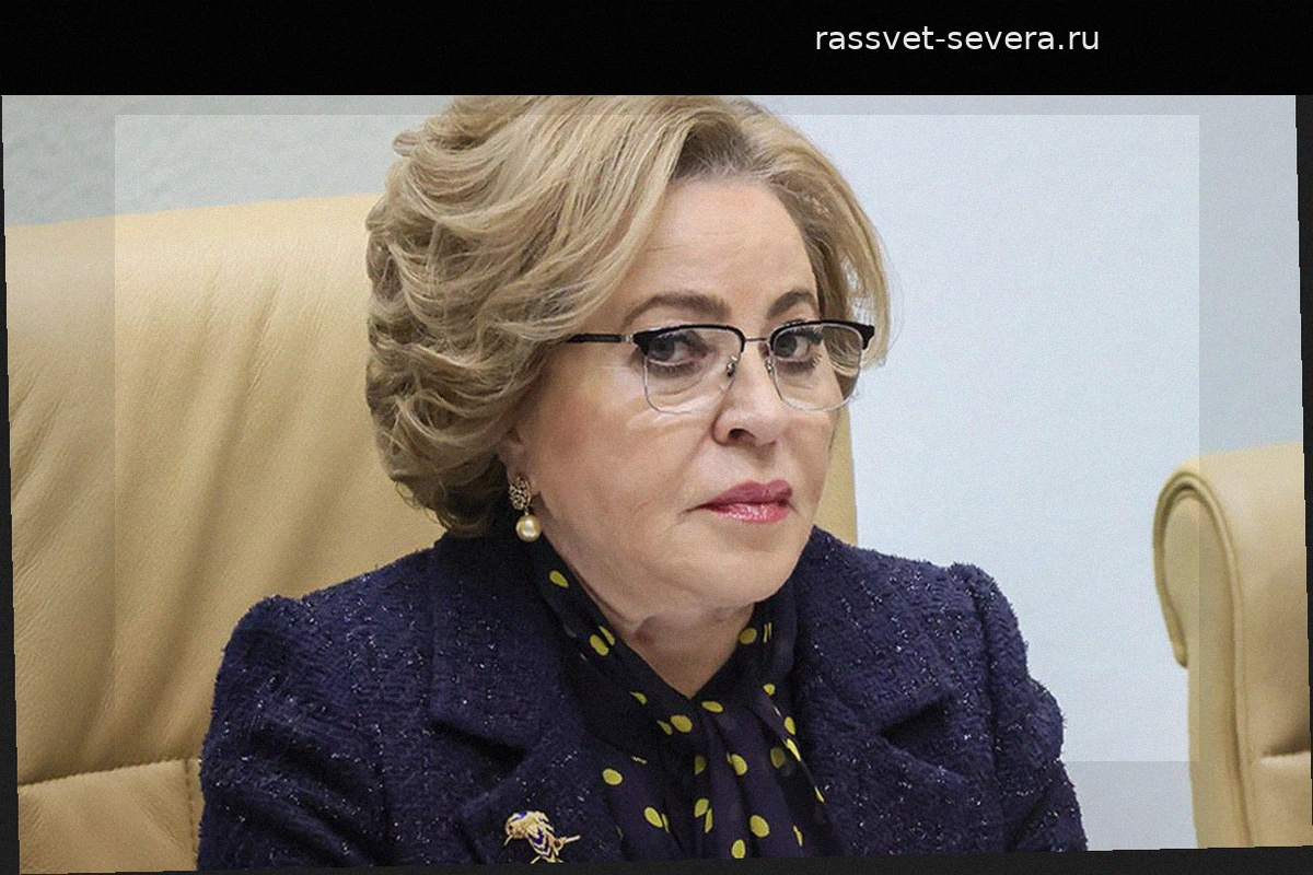 Матвиенко распорядилась проанализировать налоговые поступления от «Северстали»