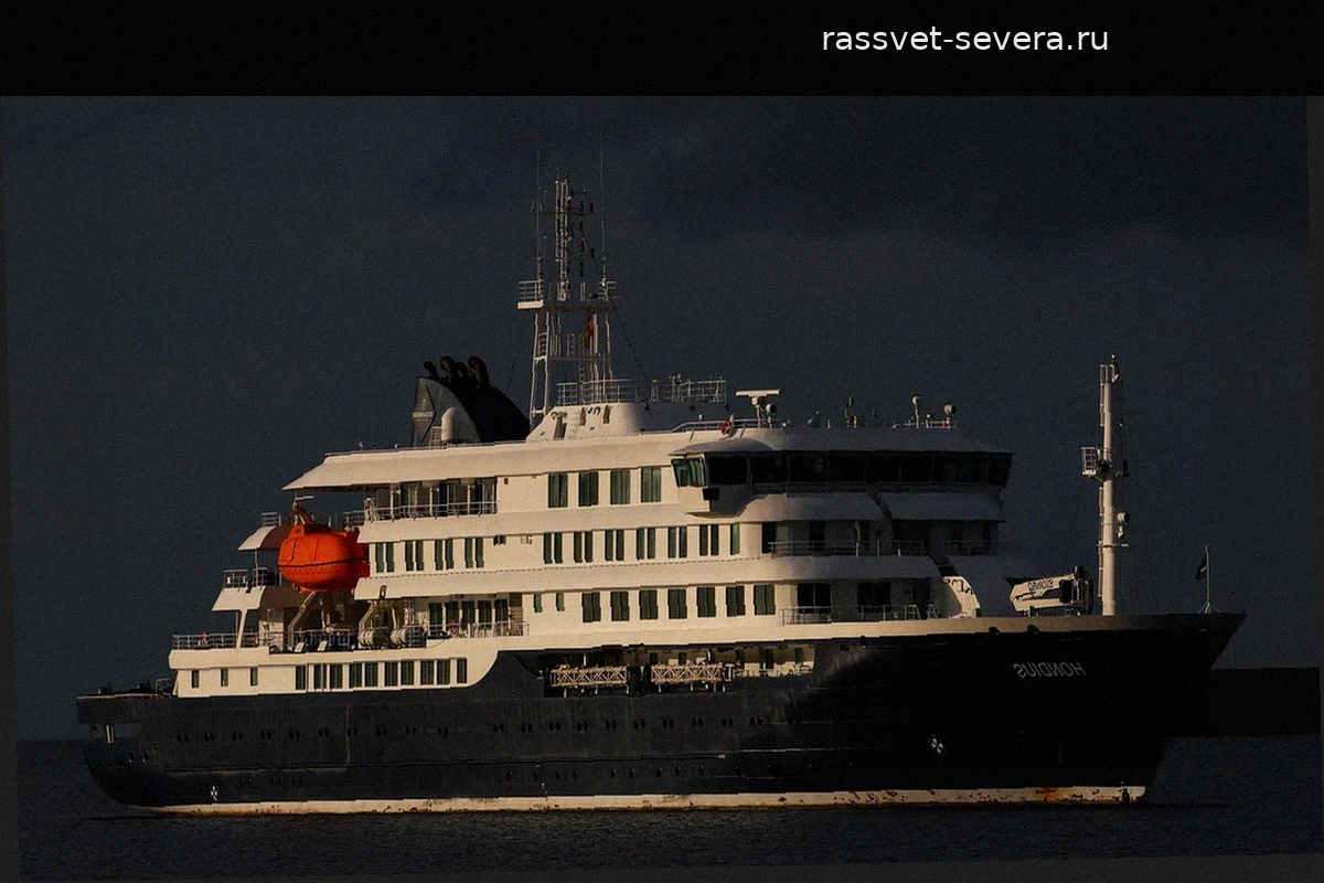 Вспышка хантавируса на круизном лайнере MV Hondius: подтверждены случаи заболевания