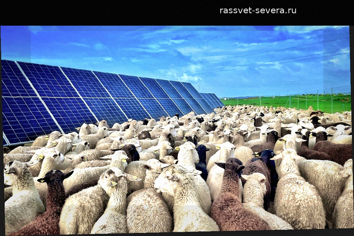 Испанские партии представят энергетические программы на XIII Solar Forum