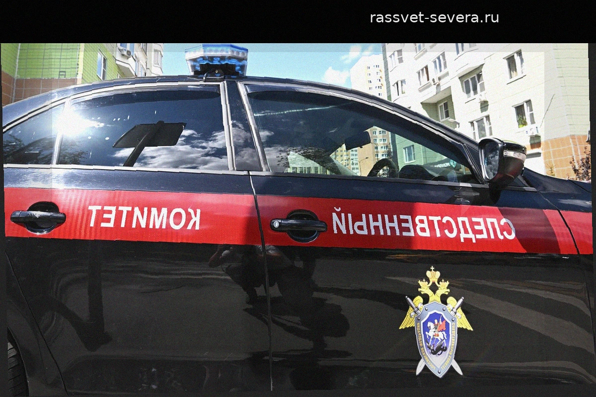 Следственный комитет возбудил уголовные дела после атак на Воронеж и Запорожье