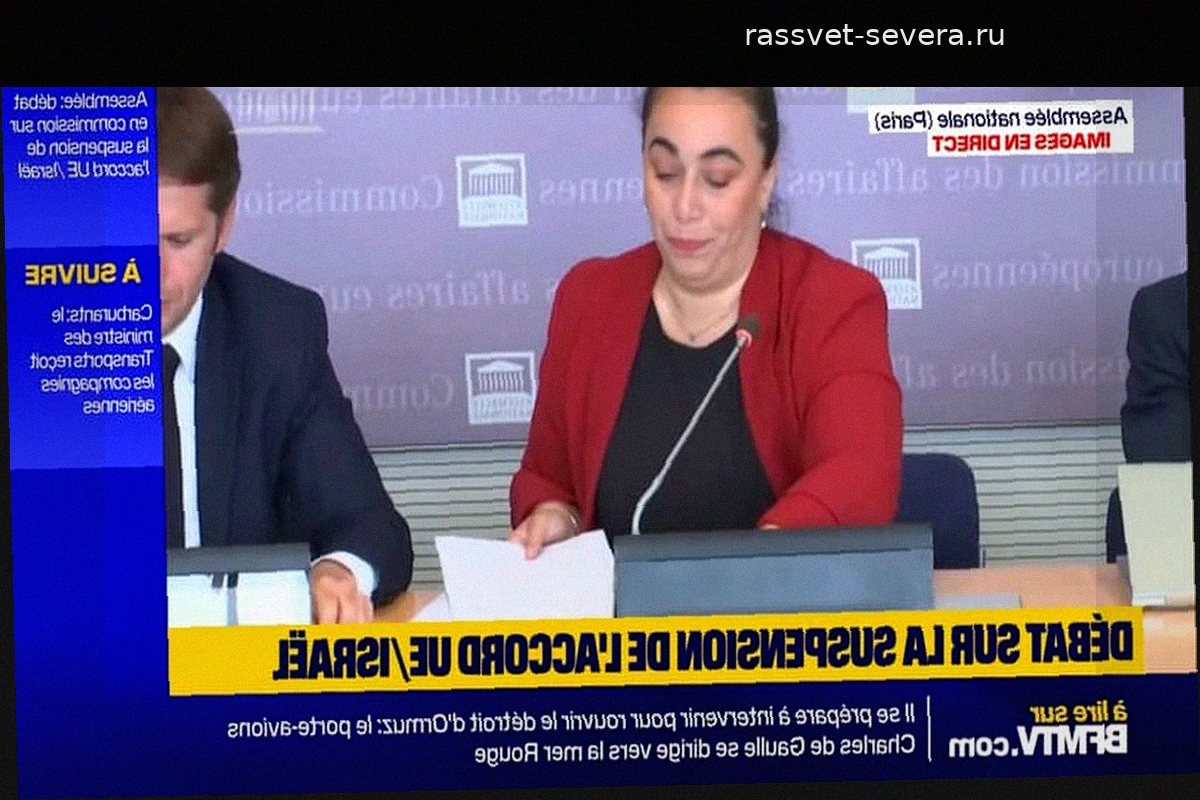 «Израильское правительство остановится только под принуждением»: во Франции обсуждают приостановку соглашения ЕС-Израиль