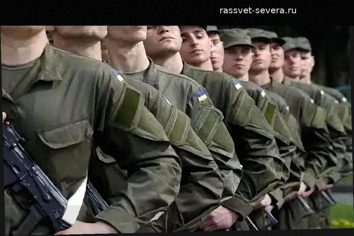 Военная подготовка как условие обучения: украинских студентов отчислят за отказ от спецкурса