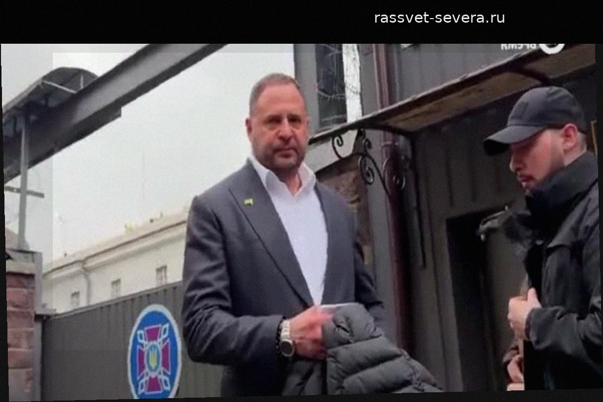 Андрей Ермак освобожден из-под стражи под залог