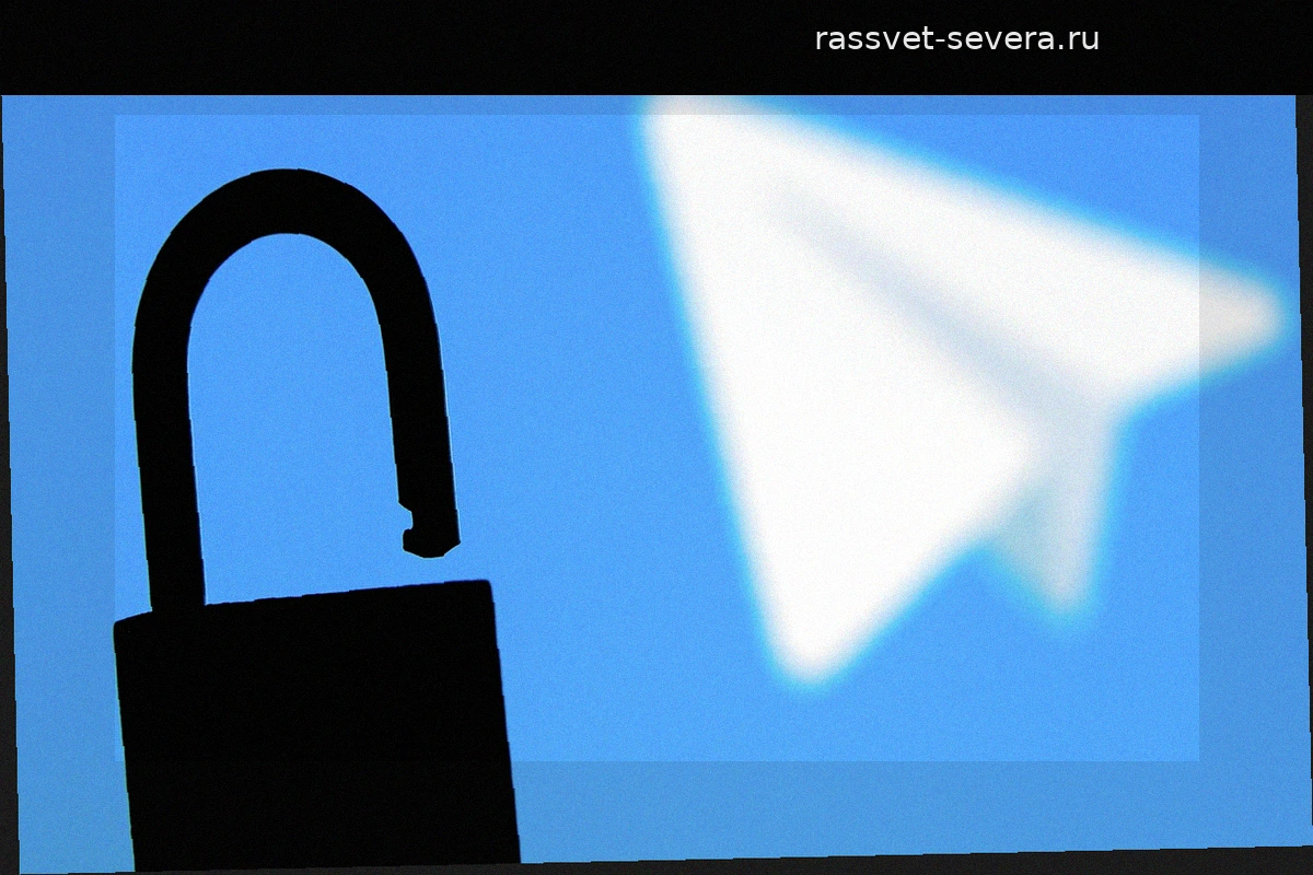Telegram оштрафовали на 3,8 миллиона рублей за неудаление запрещенного контента