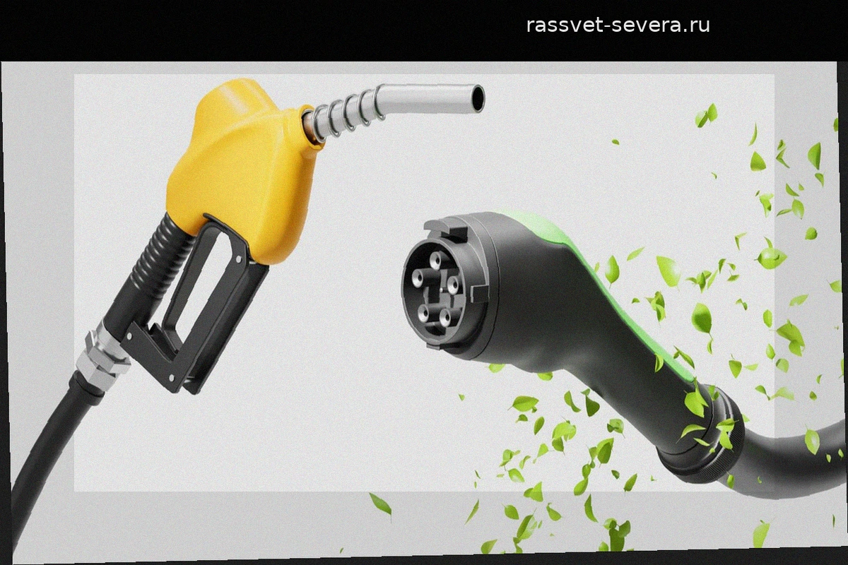 Электромобиль против биотоплива: какая технология экономит ваши деньги