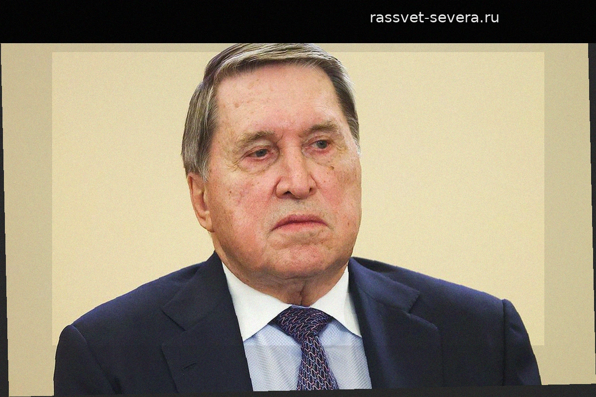 Ушаков: Киеву необходимо предпринять один шаг для начала мирного процесса
