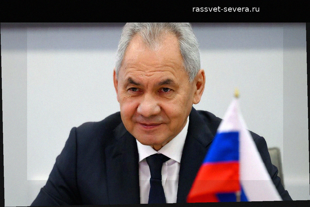 Шойгу предложил создать на площадке БРИКС механизмы реагирования на ЧС