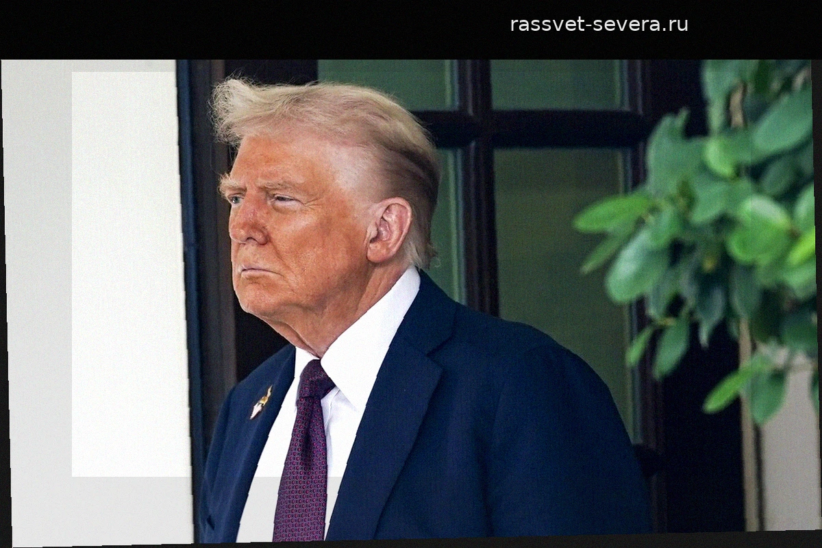 Дональд Трамп призвал привлечь Хакима Джеффриса к ответственности за подстрекательство
