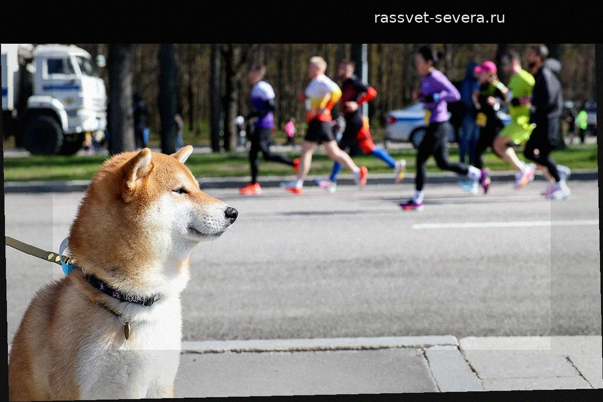 В Москве 26 апреля ограничат движение из-за спортивного марафона
