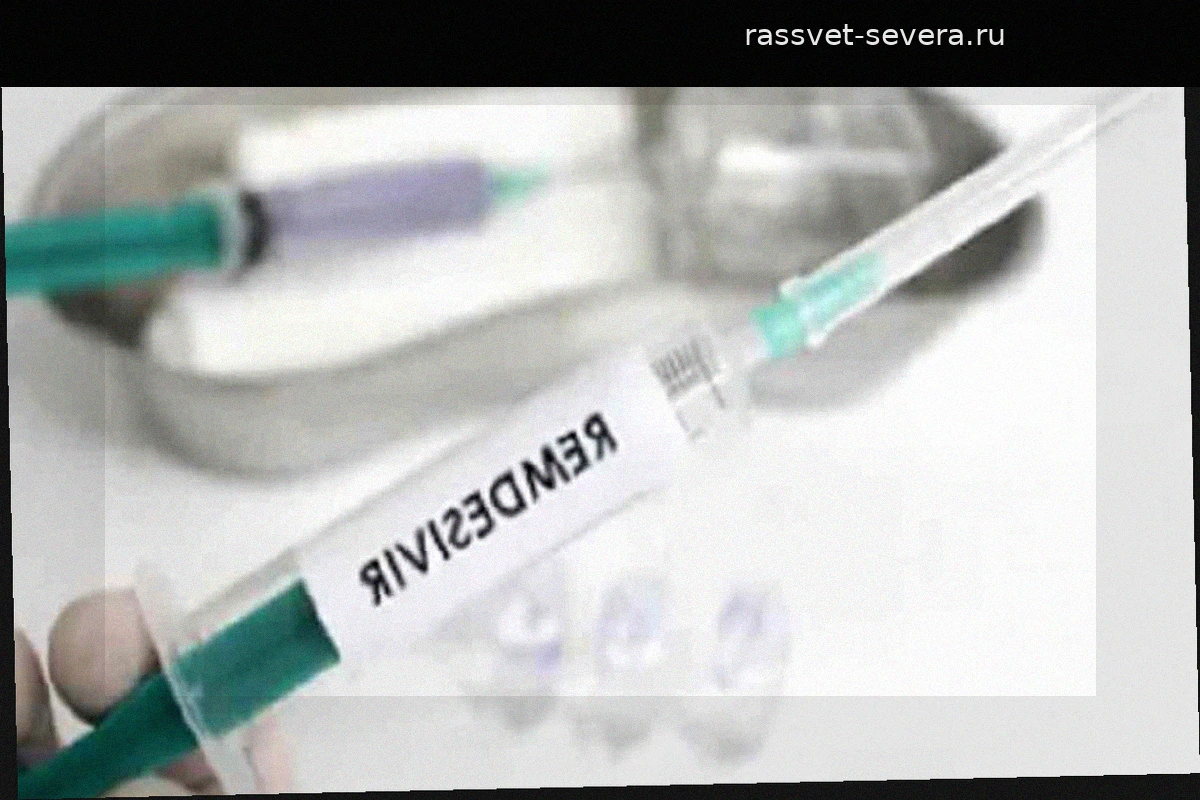 Препарат от COVID-19 помогает сохранить здоровье почек и сердца после трансплантации