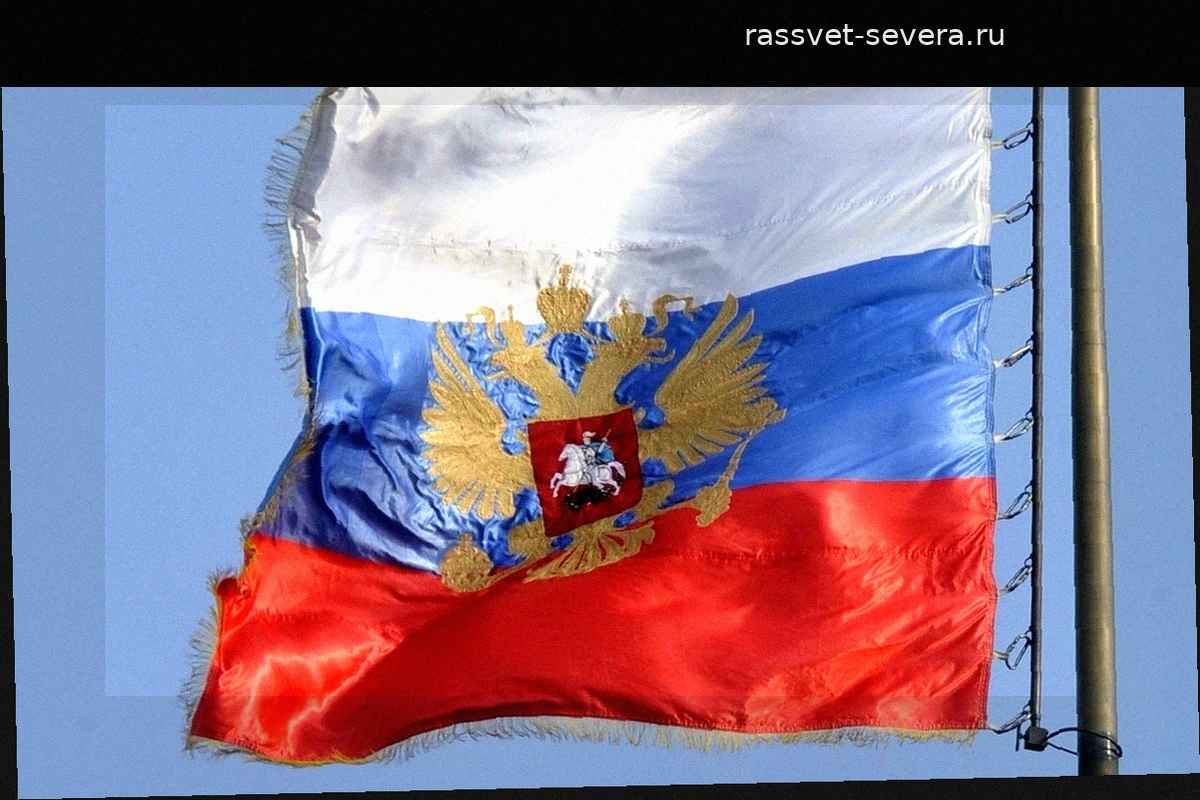 Американский журналист Кристофер Хелали объяснил, почему считает Россию своим домом